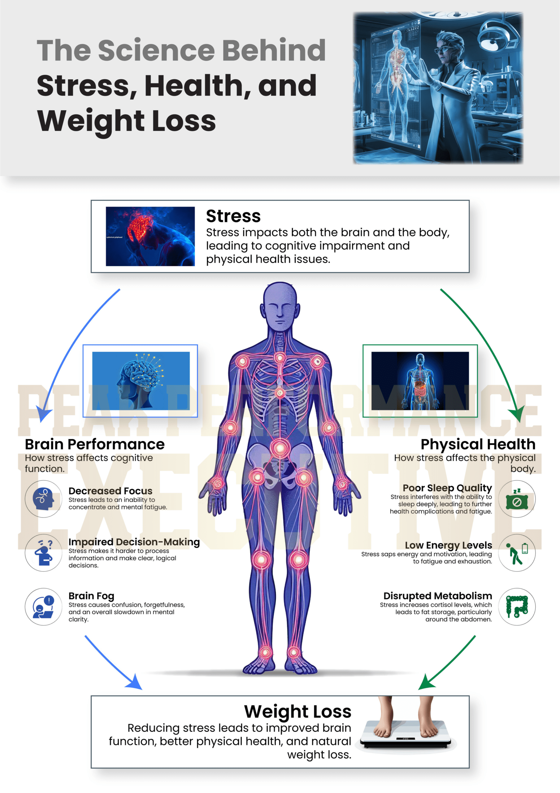 PPE Stressed Infographic